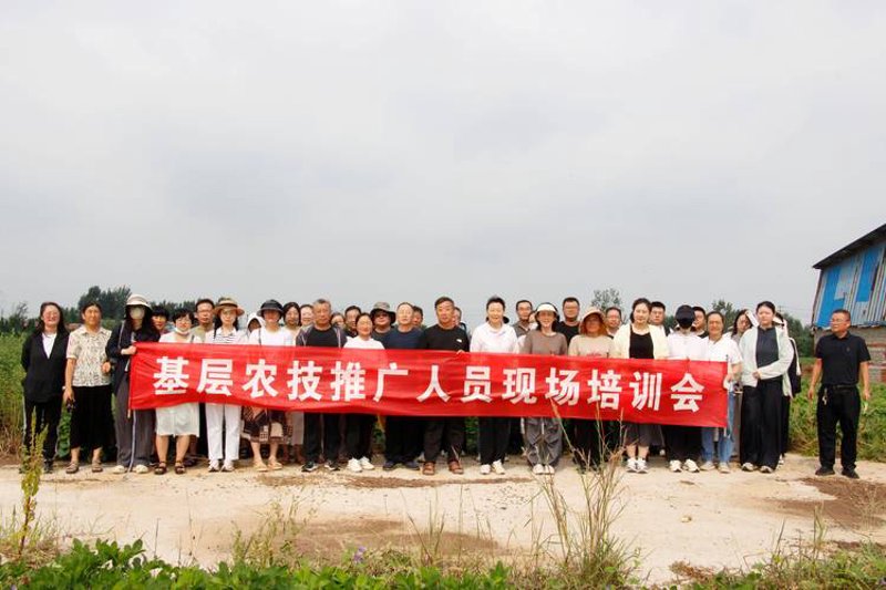 乡村振兴新画卷：农事服务的数字化转型
