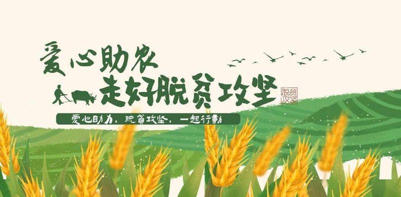 现代农业里的科技春风：智慧农业的实践与探索